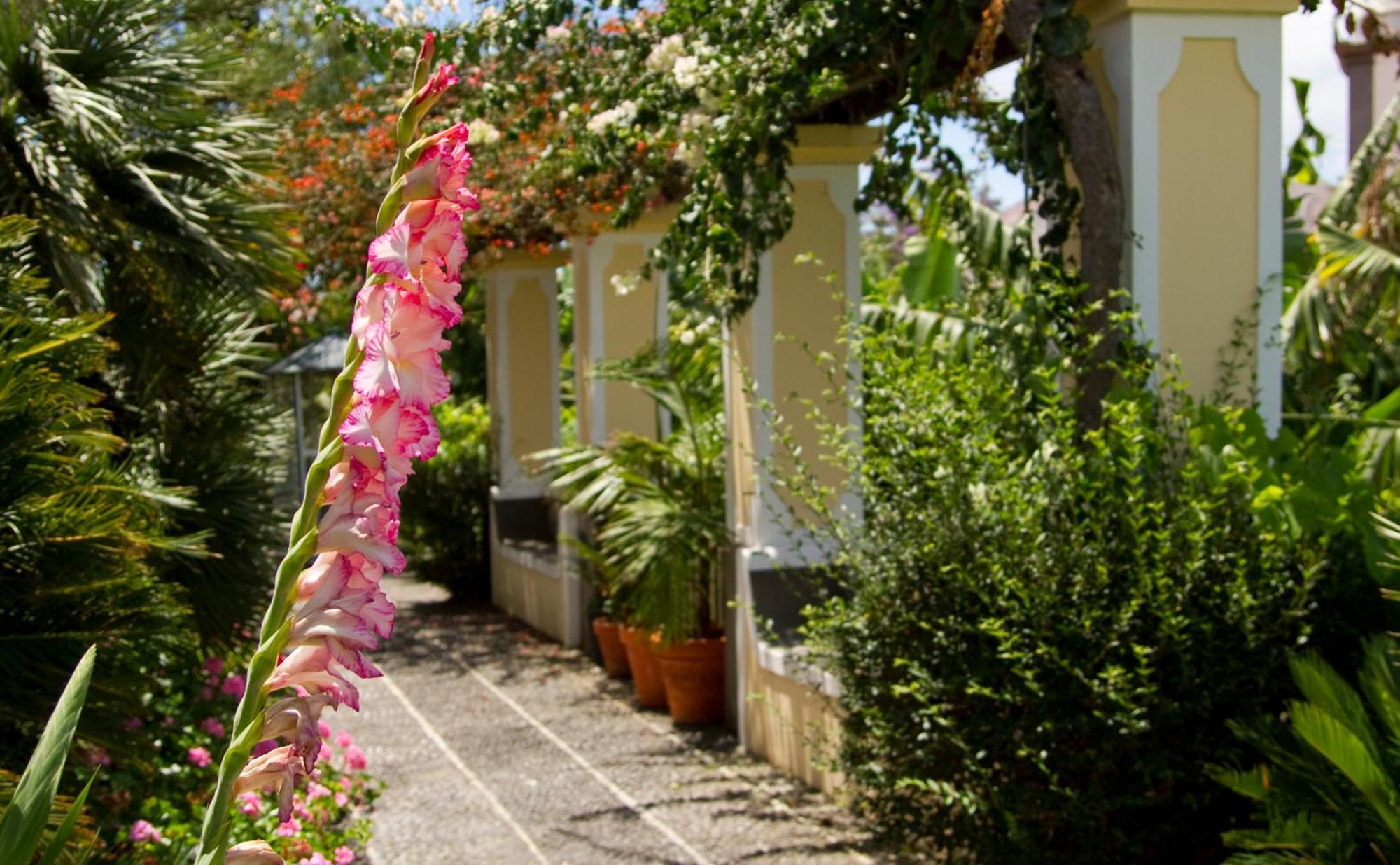 Hotel Quinta Bela S Tiago Funchal Dış mekan fotoğraf